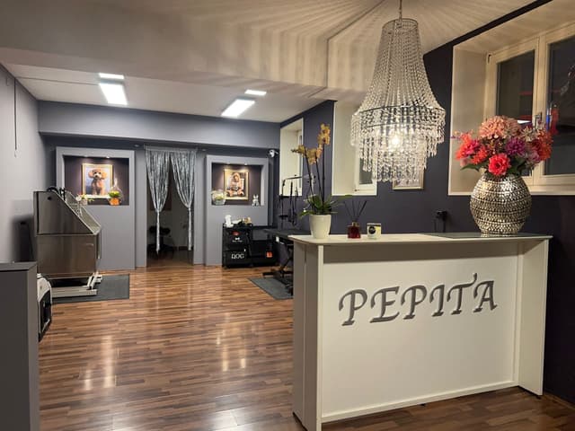 Galerie vom Hundecoiffeur Pepita